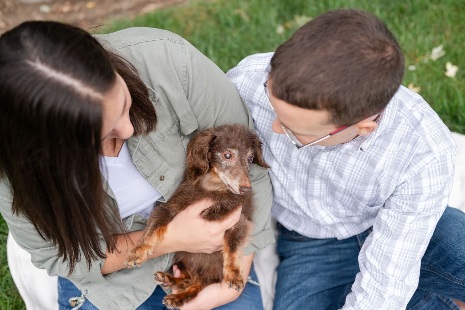 Couple cuddles with their chocolate dachshund puppy on grass outdoors.