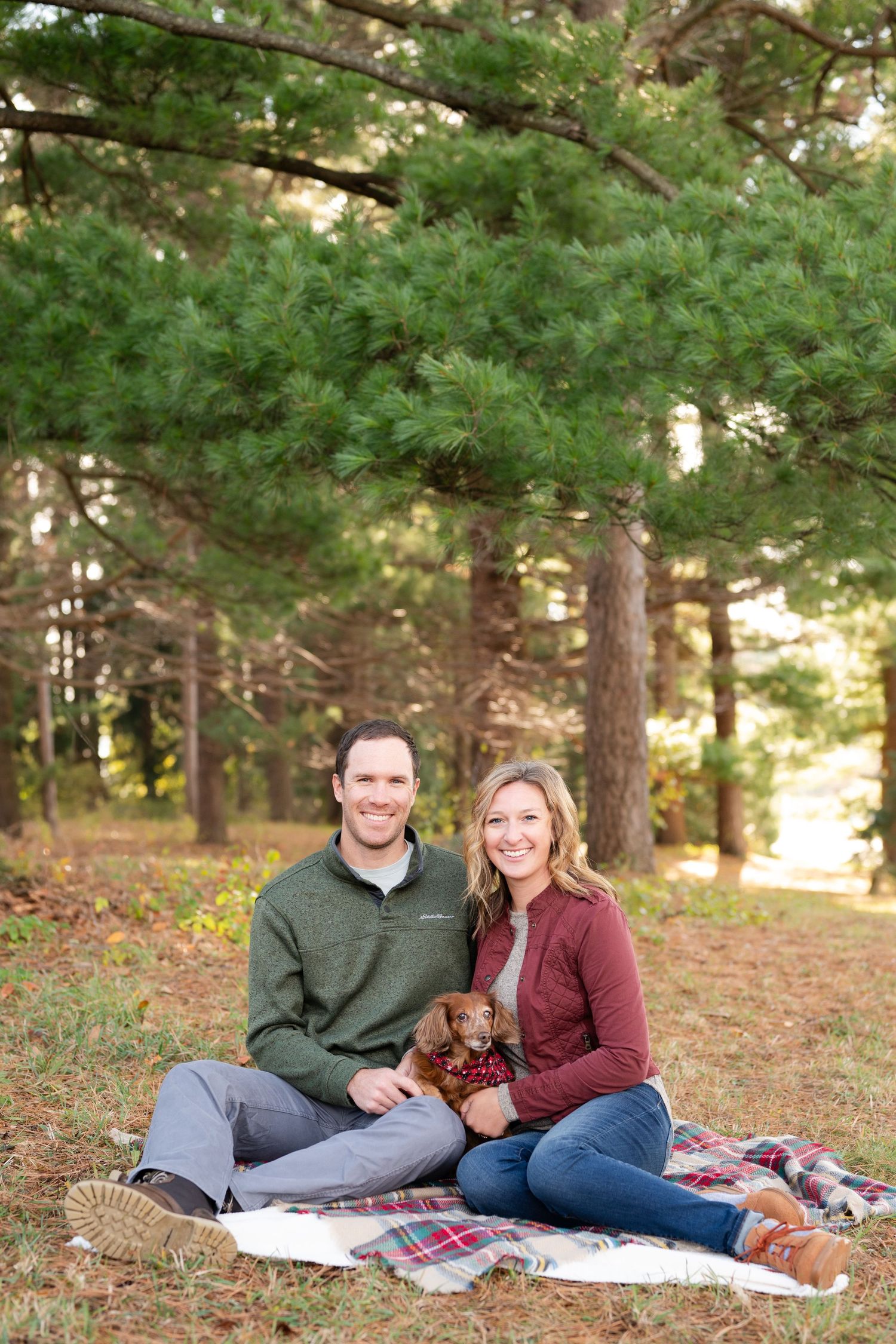Couple sits with small dog on plaid blanket for picnic in pine forest.