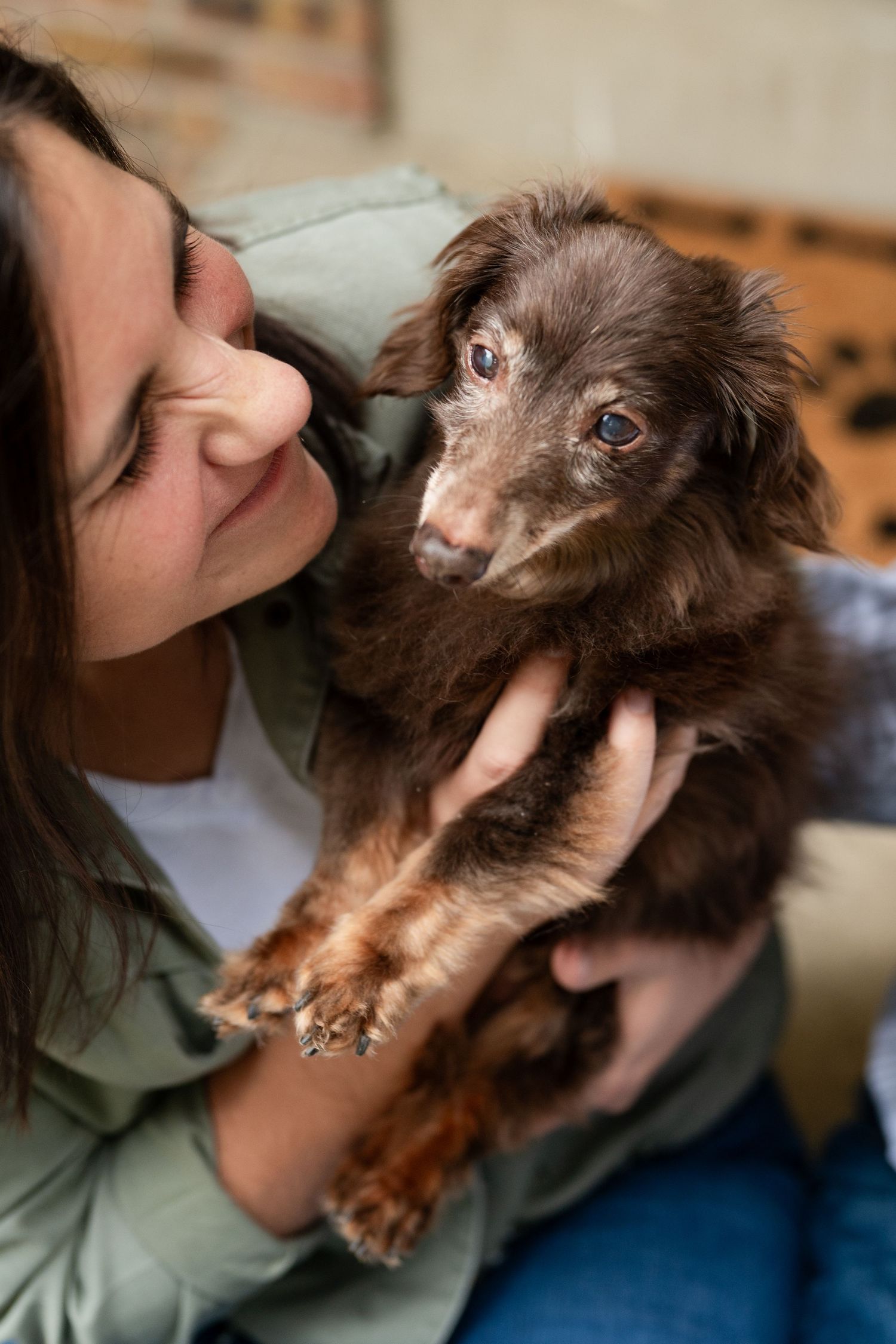 Close-up of woman cuddling with brown dachshund puppy showing loving expression.
