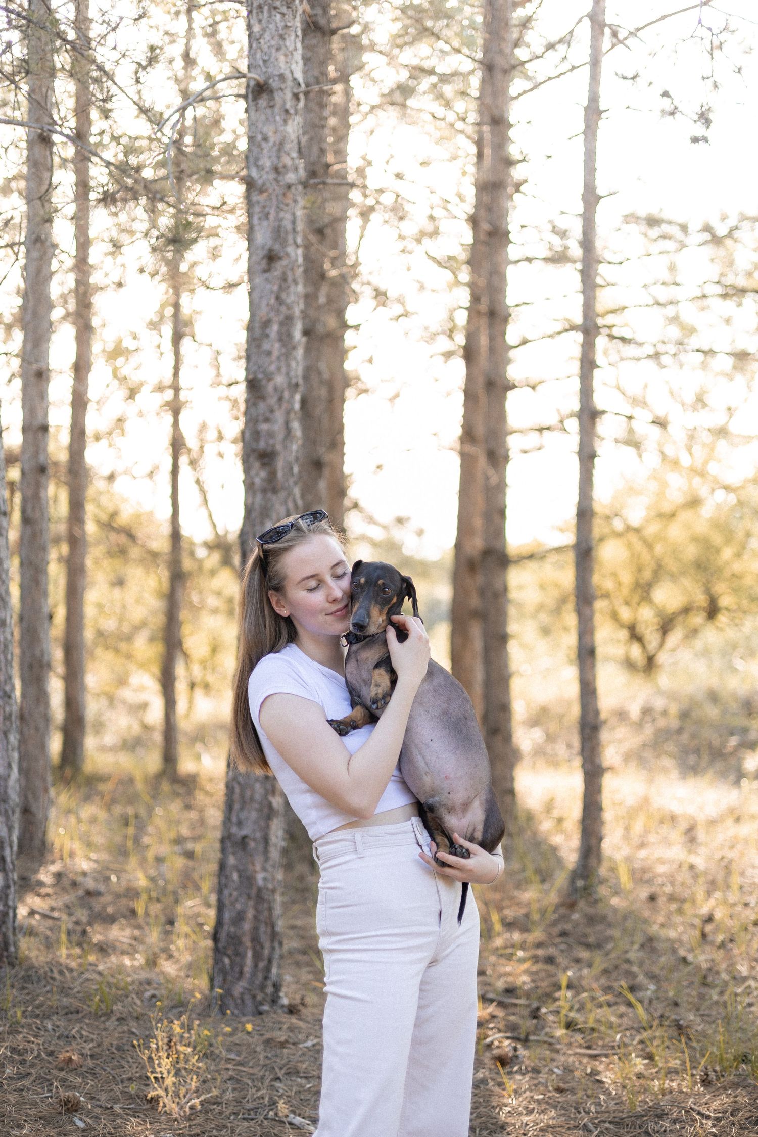 portrait, pets, photography, porté fotózás