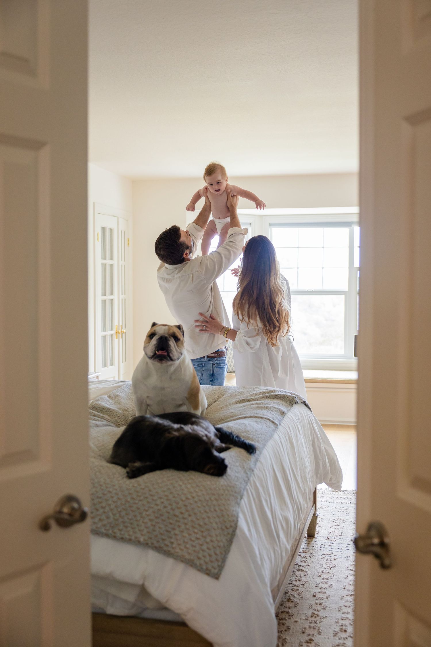 Parents lifting baby in air on bed with bulldog and cat in bright bedroom.