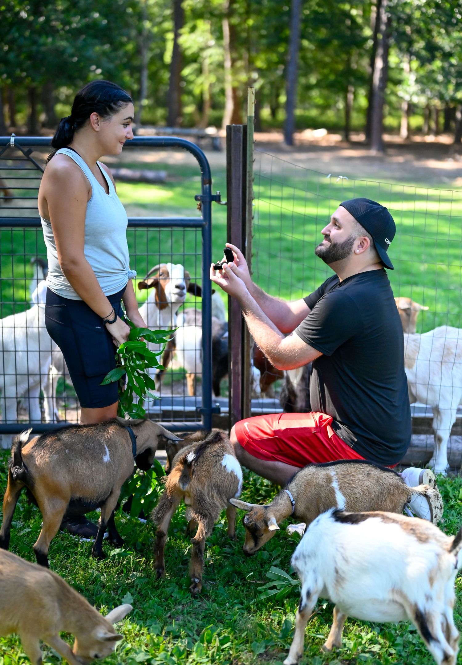 Man proposing to woman during outdoor picnic in park