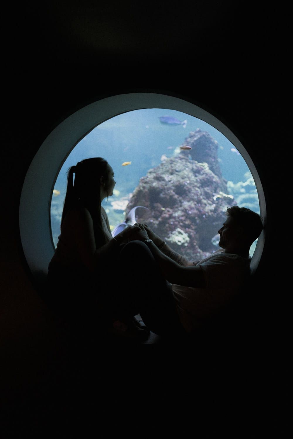 Silhouettes of a couple sitting in front of a circular aquarium window with colorful coral reef and tropical fish.