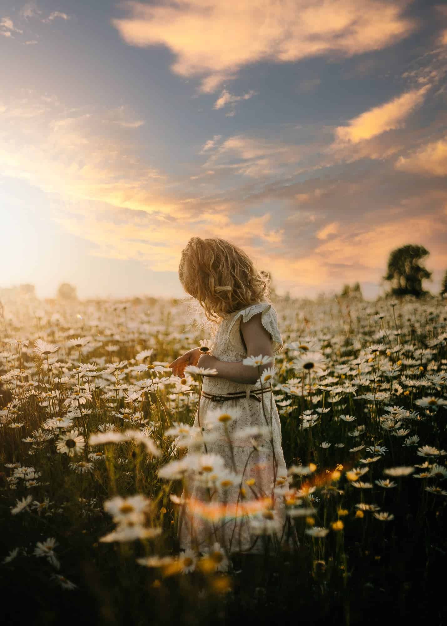 Een kind staat in een veld vol madeliefjes bij zonsondergang in Sint-Martens-Latem. De lucht kleurt roze en oranje: dromerig en rustig.