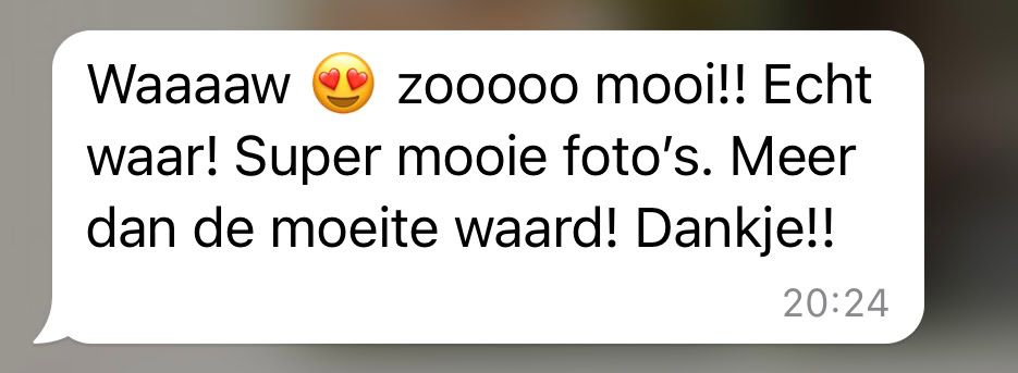 Dutch WhatsApp message review praising beautiful wedding photos with heart eyes emoji and thank you message.