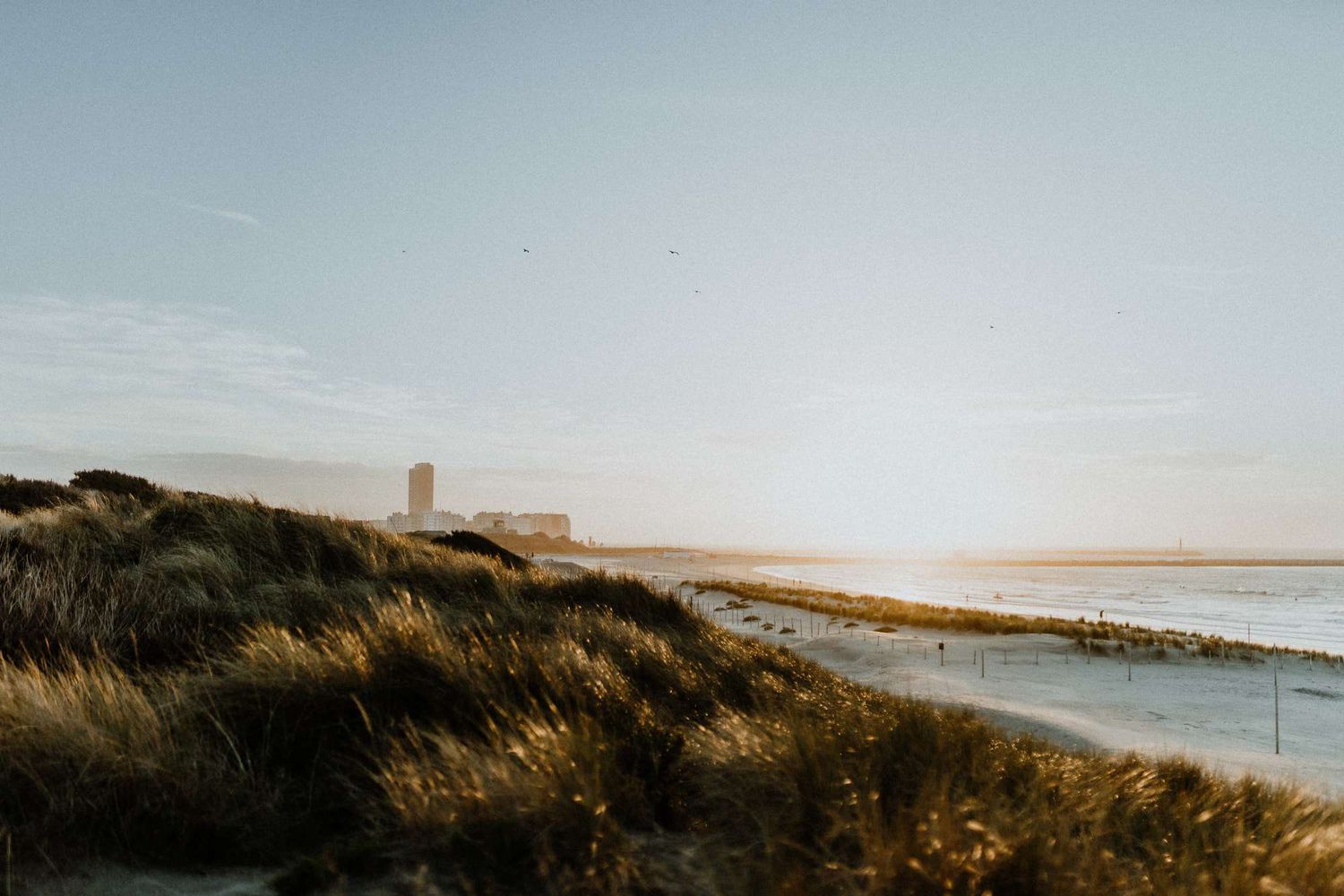 Strand van Knokke Heist met gras en zandduinen onder een kleurrijke zonsondergang, die een rustige sfeer creëert