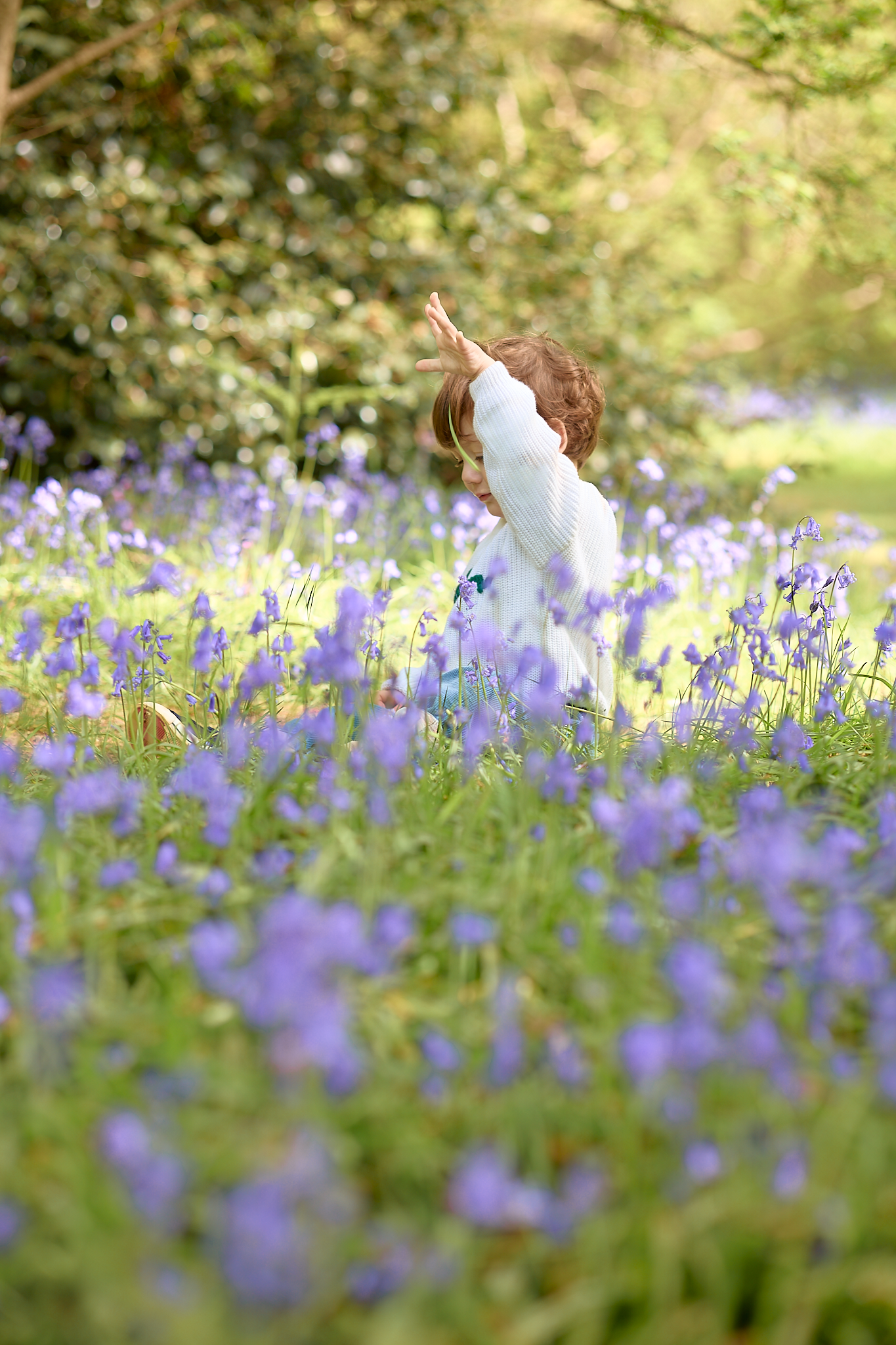 A young child in white dress plays among purple bluebell flowers in a sunlit woodland garden.
