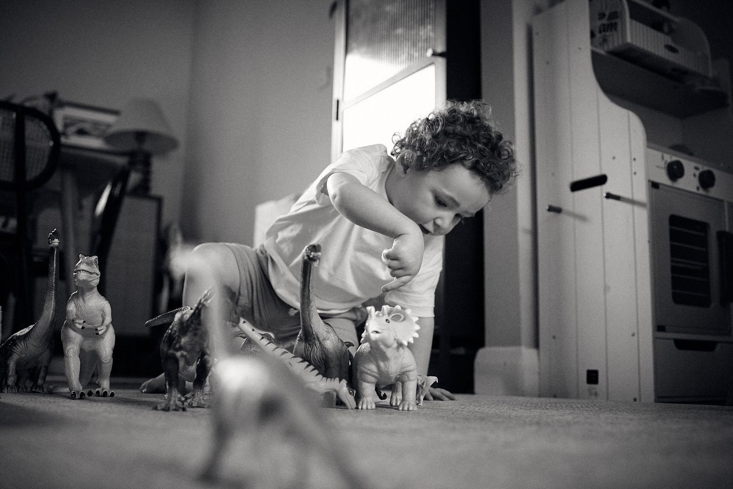 Low angle black and white shots showing cats observing from different perspectives.