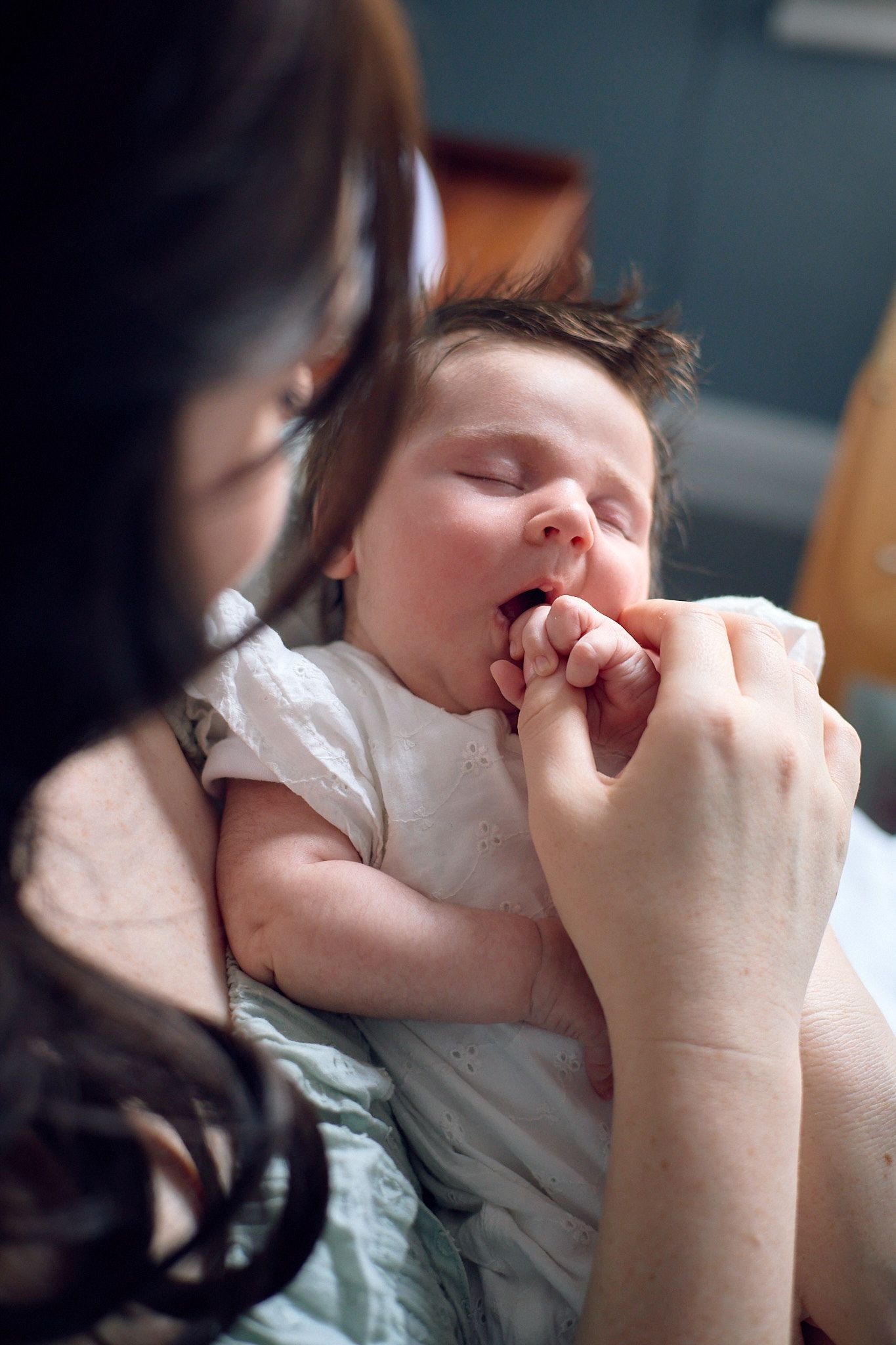 A gentle feeding moment captured in soft natural light.