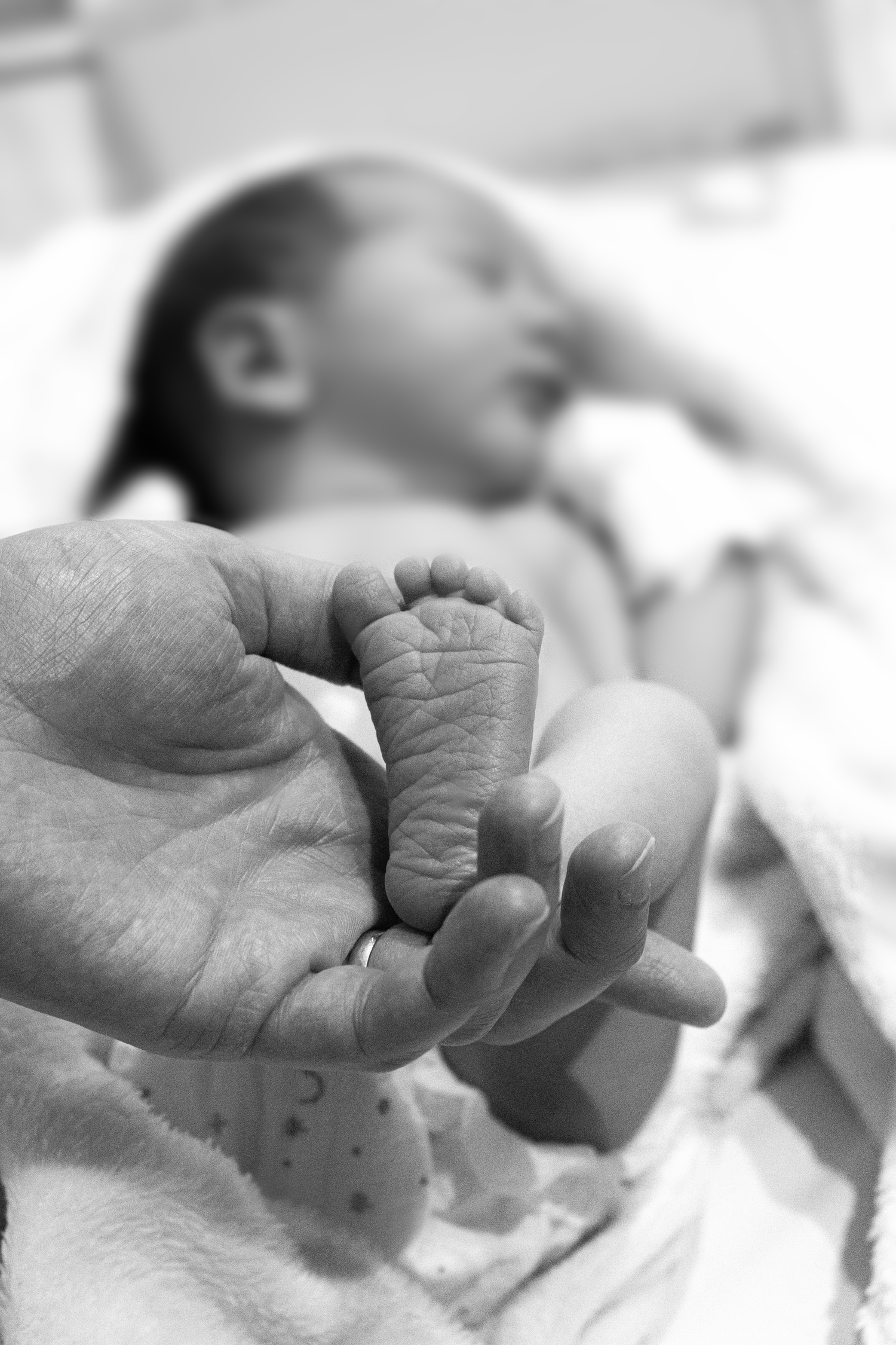 A series of black and white close-up images showing tiny baby hands grasping adult fingers.