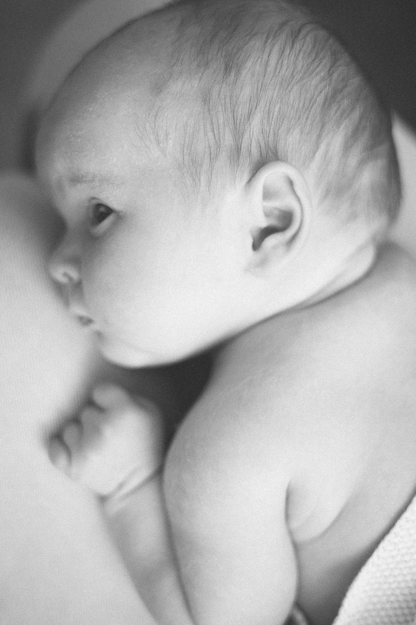 Series of soft black and white profile shots showing gentle infant features.