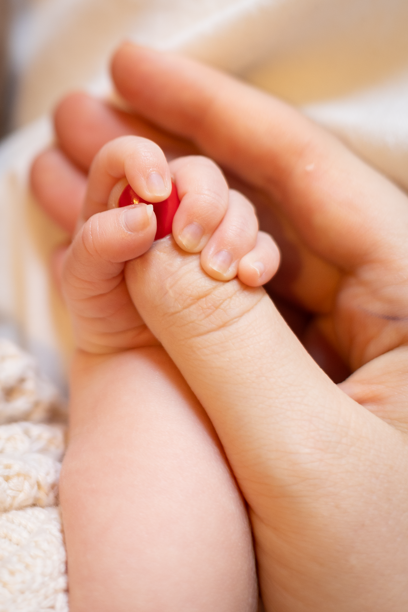 Delicate close-up of tiny baby toes being tenderly held by hands with red nail polish.