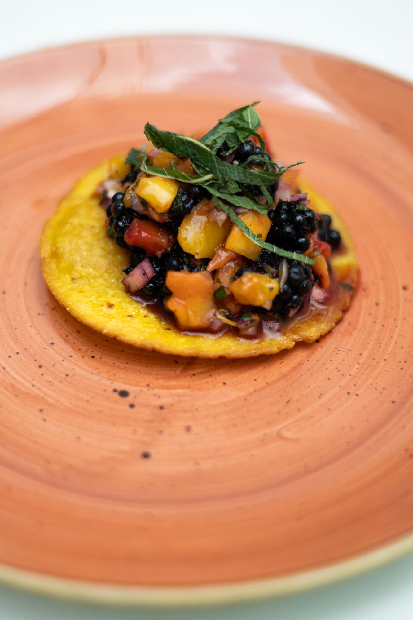 Close-up of colorful appetizers served on terracotta plates with garnishes.