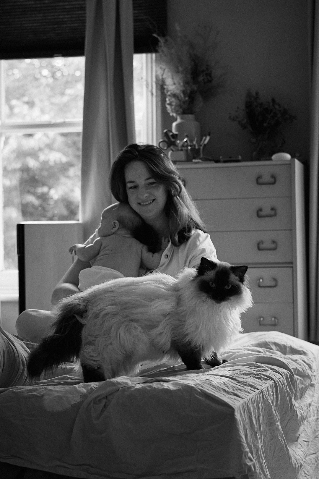 A relaxed scene showing a person lounging with a fluffy Ragdoll cat on a bed near a window.