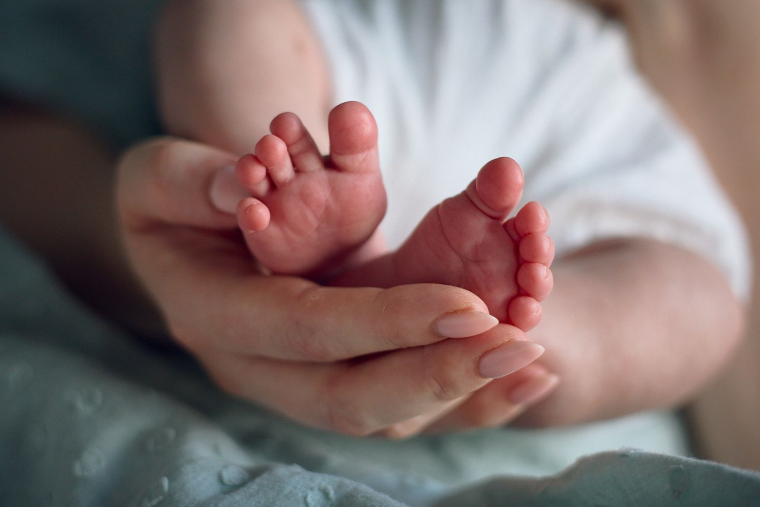 Close-up of tiny baby feet being held in adult hands.