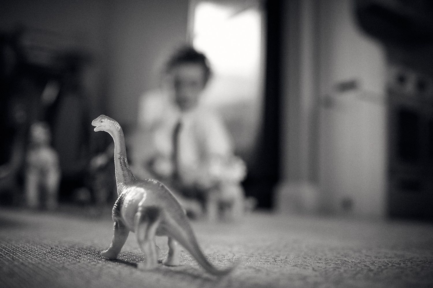 Artistic black and white composition showing blurred shapes and shadows.