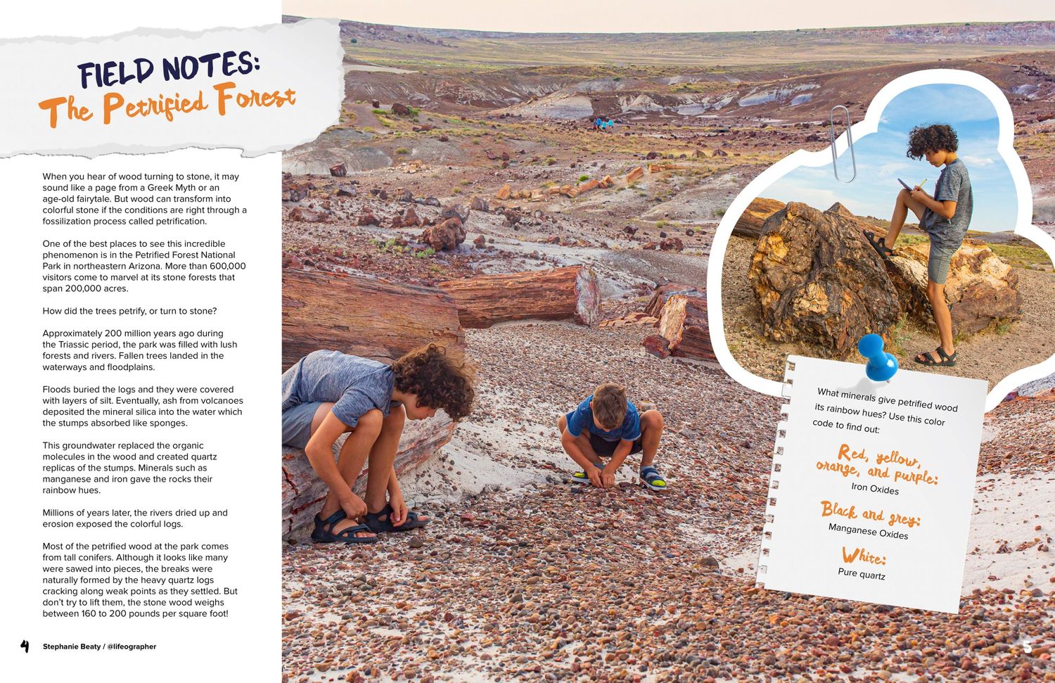 Educational spread about fossil hunting showing people examining desert rocks and formations.