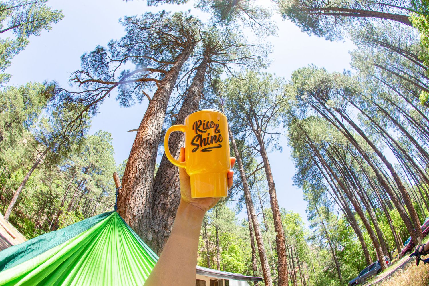 Hand holding yellow beer can in hammock among tall pine trees.