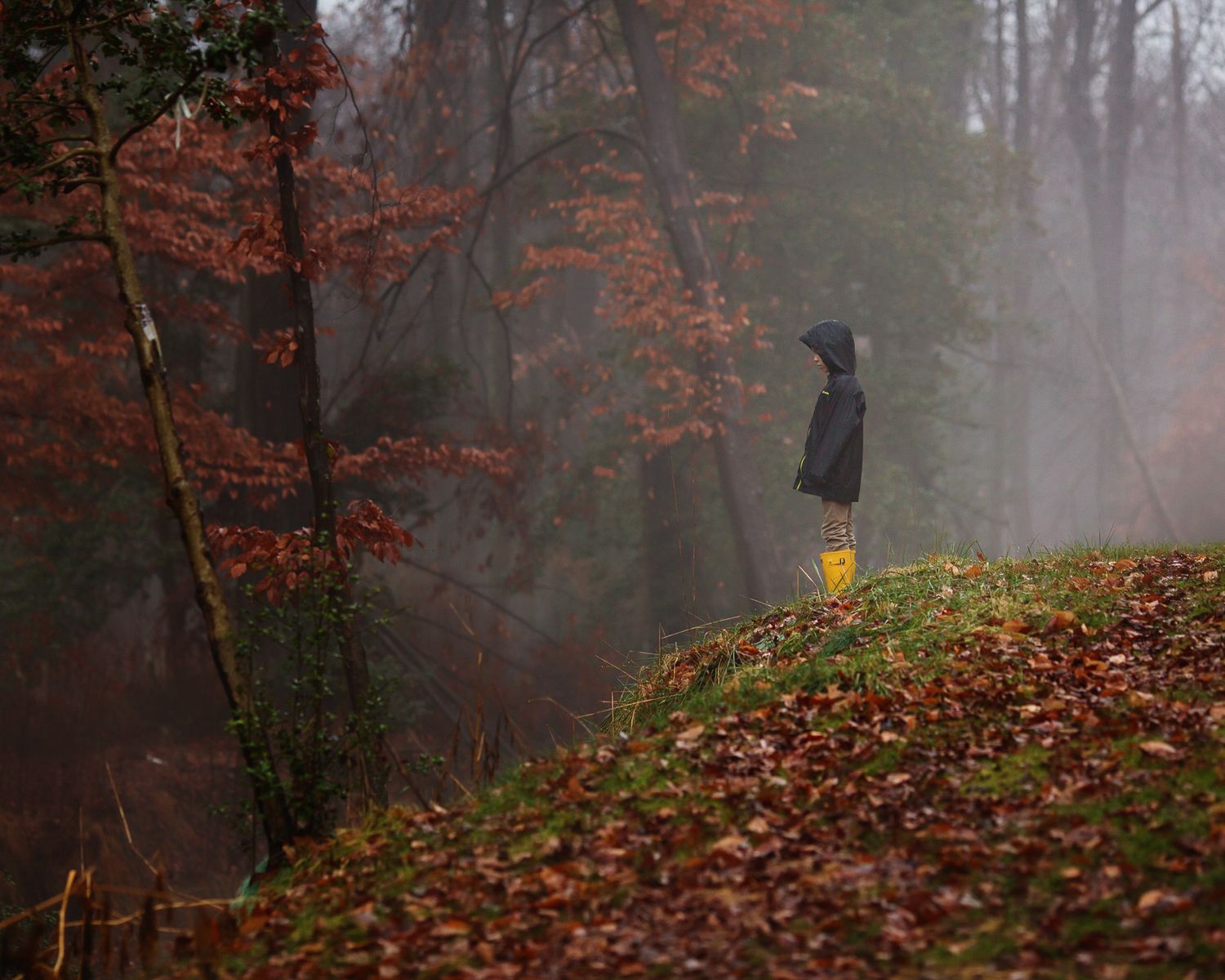 Silhouette of person in raincoat standing on misty hillside covered in autumn leaves.