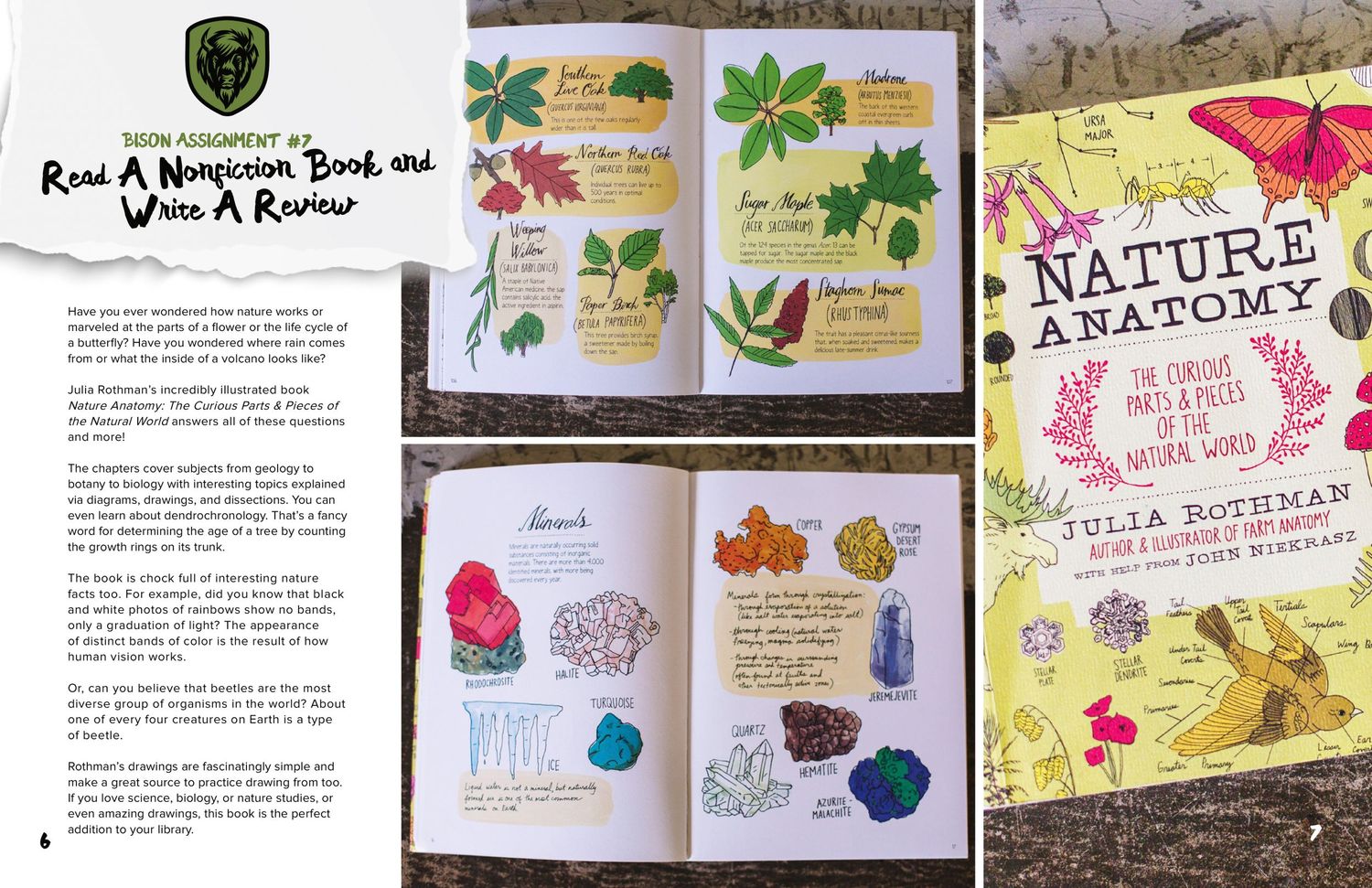 Educational journal pages showing hand-drawn nature illustrations and botanical sketches.