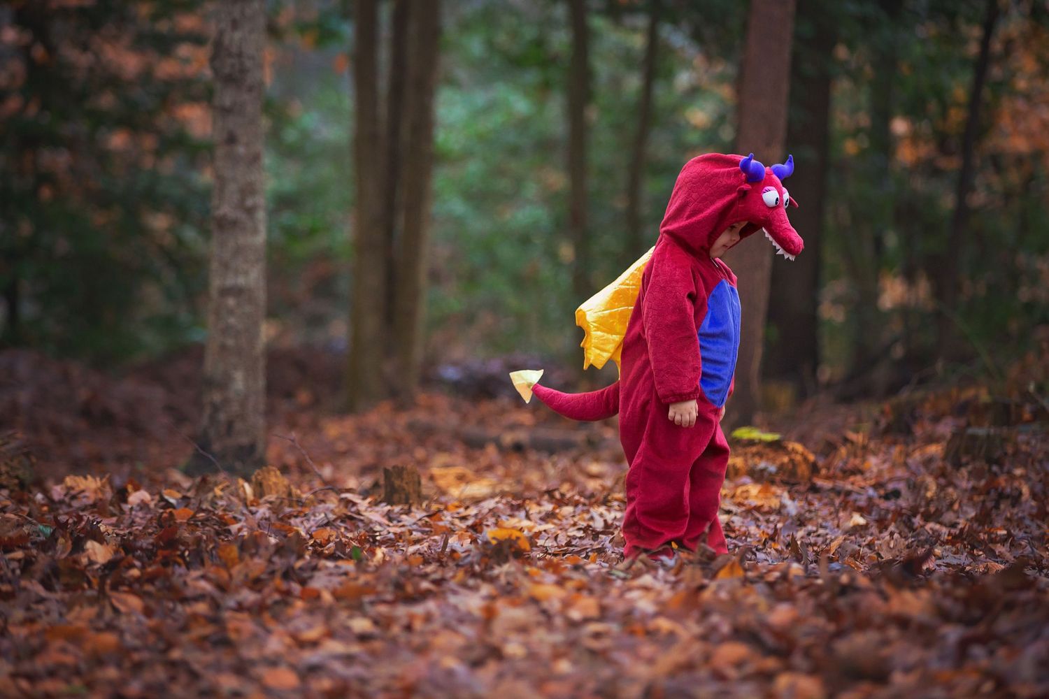 A colorful costumed figure plays in an autumn forest filled with fallen leaves.