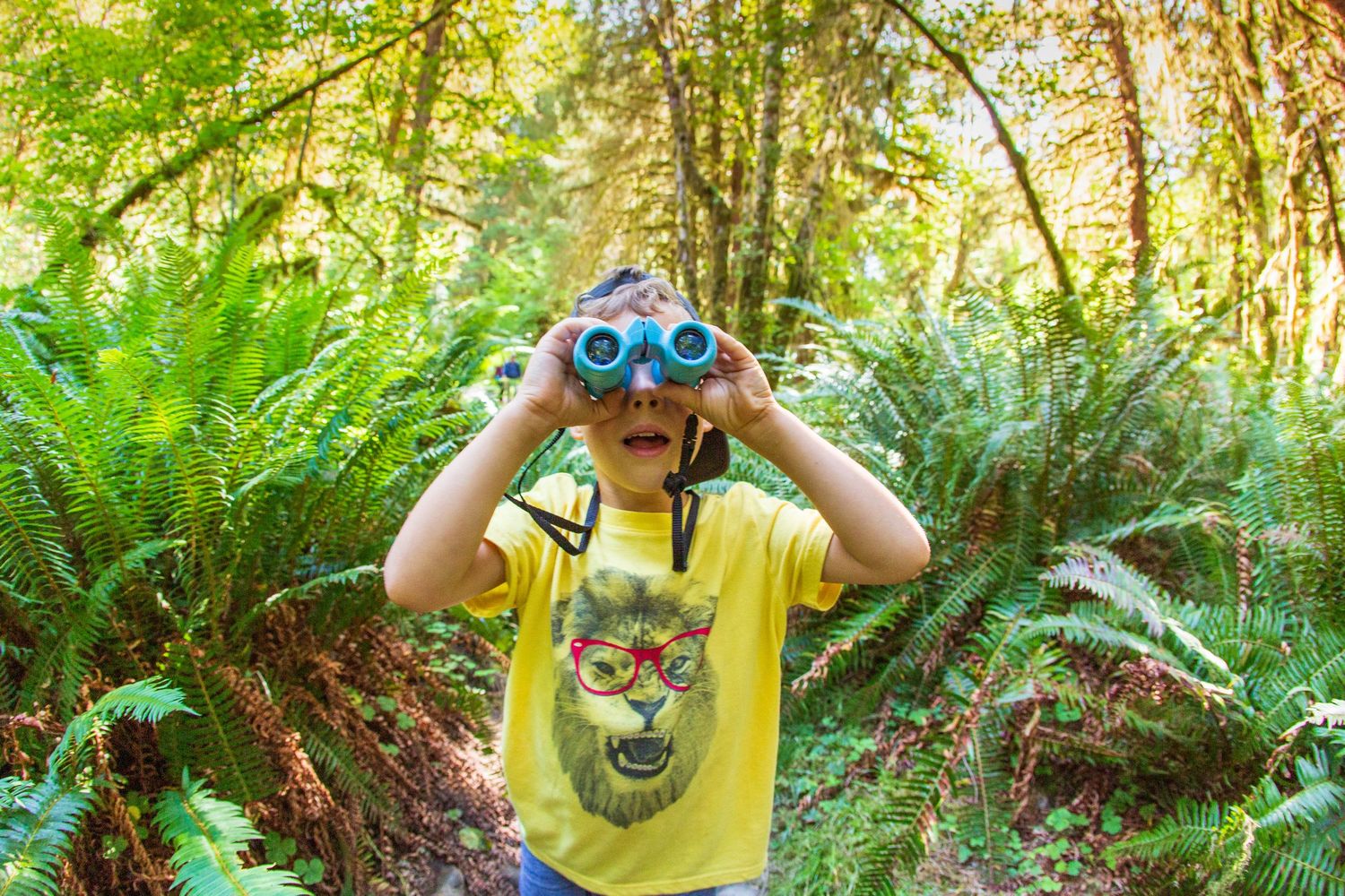 Person in yellow t-shirt using binoculars while exploring in a lush green forest.