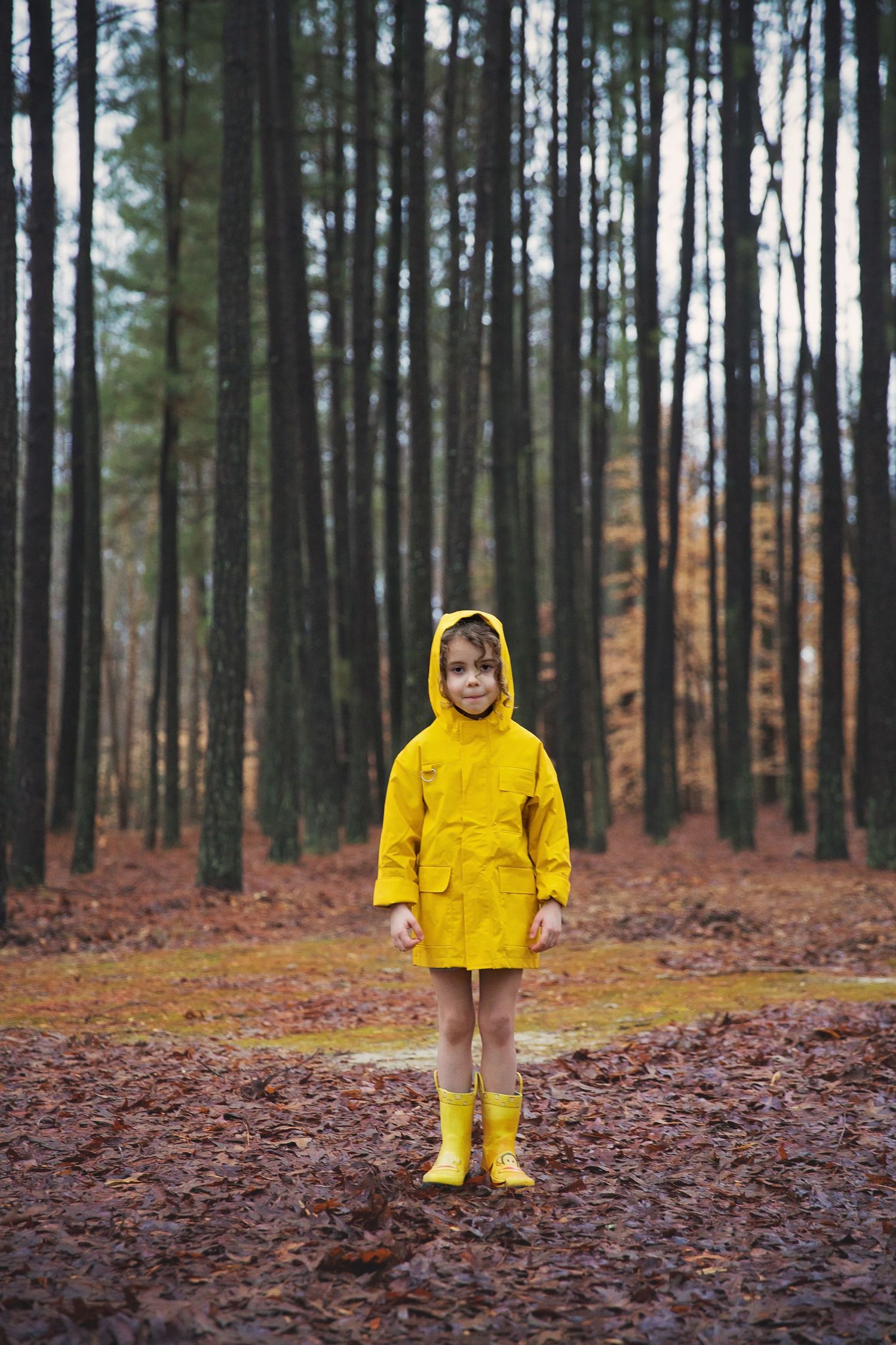A figure in bright yellow raincoat and boots stands in a misty autumn forest.