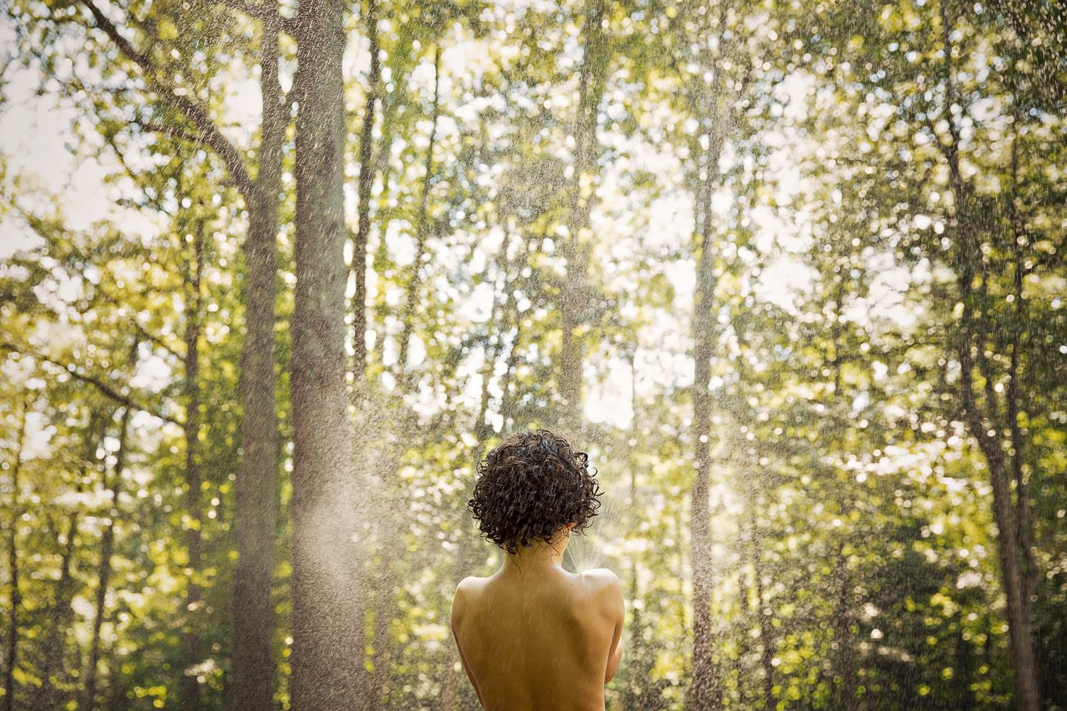 Backlit figure standing in sunlit forest with rays streaming through trees.