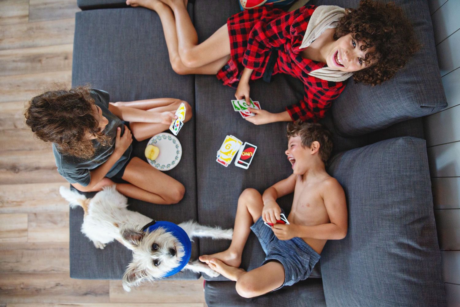 Overhead view of relaxing group on gray couch with small dog.