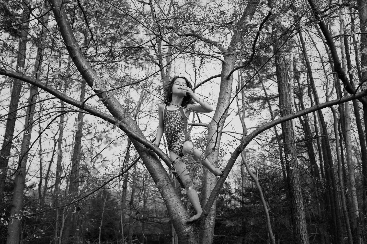 Person climbing tree branches in a moody black and white forest scene.