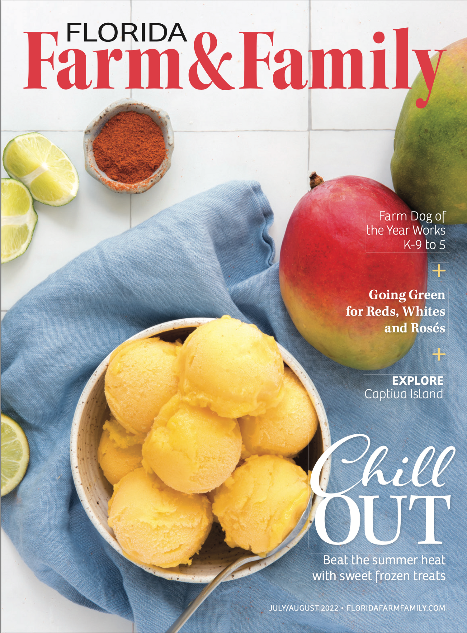 Florida Farm & Family magazine cover featuring colorful summer treats and fruits.
