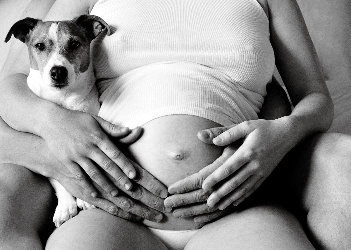 Black and white photo of a pregnant belly with a dog resting nearby.