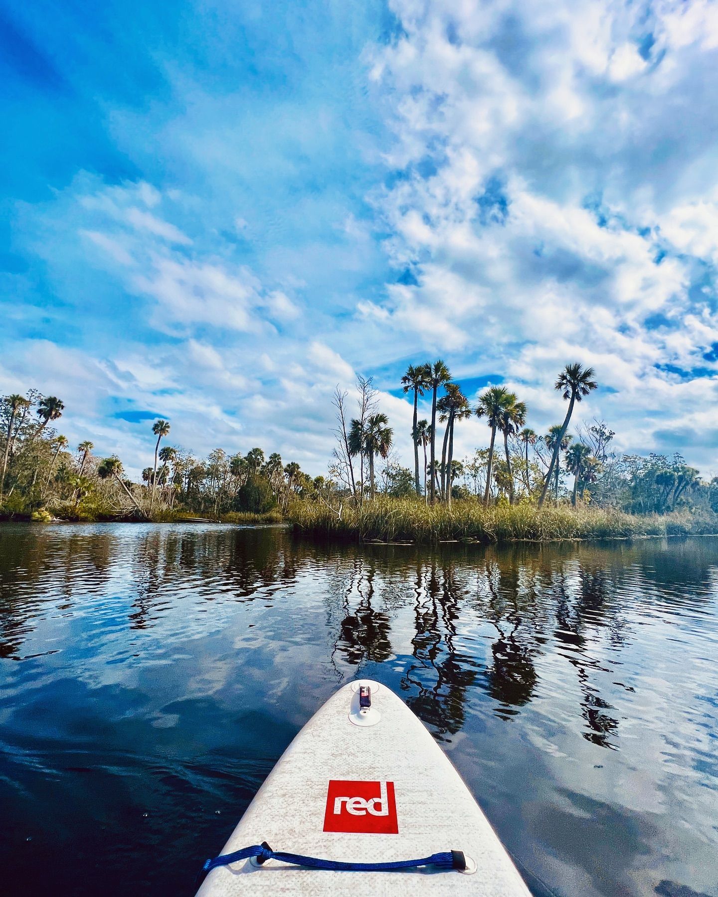 Paddleboard view of calm lake waters with palm trees and blue cloudy sky reflecting on surface.