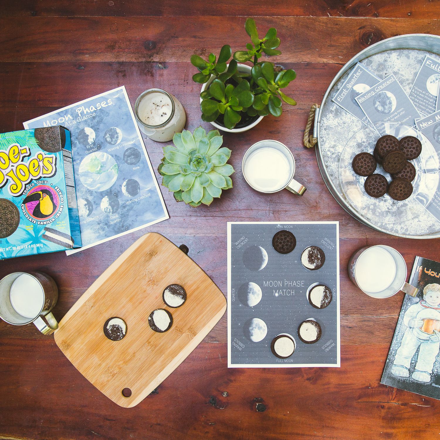 Moon phase themed table setup with cookies, plants, and educational materials.