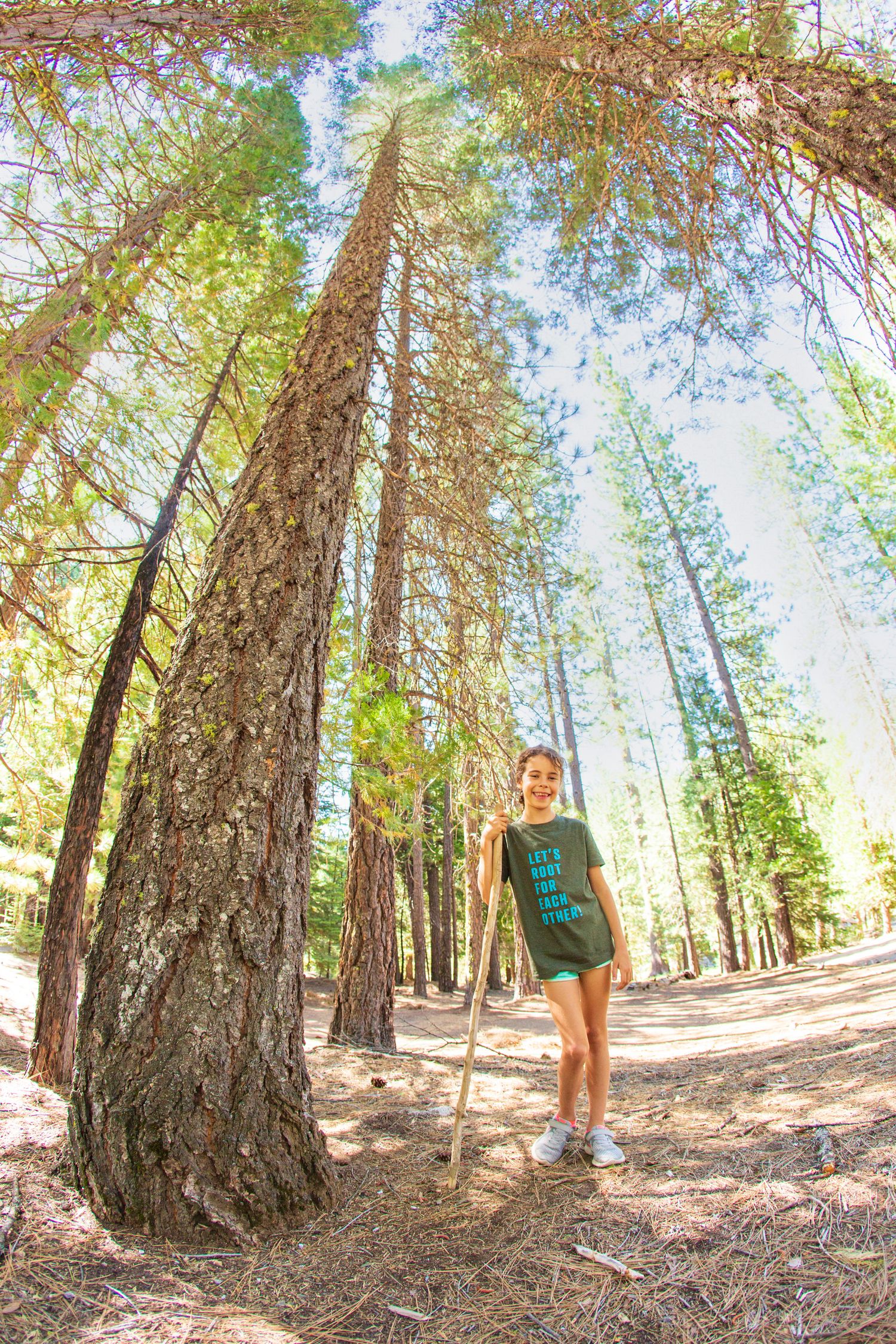 Person standing next to tall pine tree in sunny forest clearing.