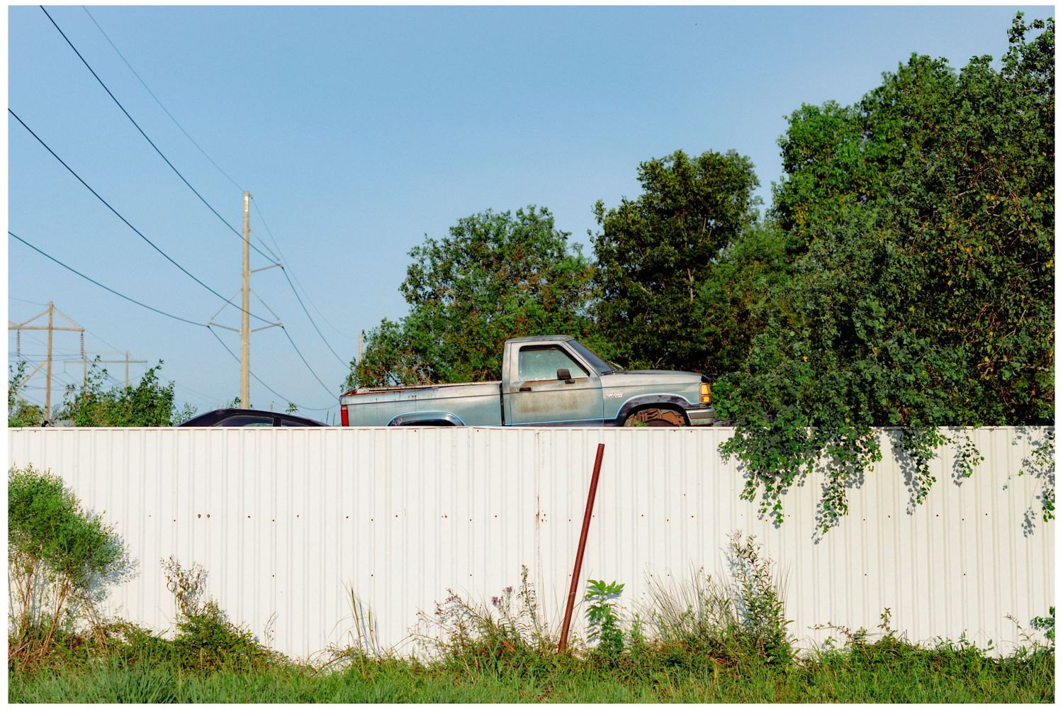 White pickup truck visible above fence line with power lines in background.