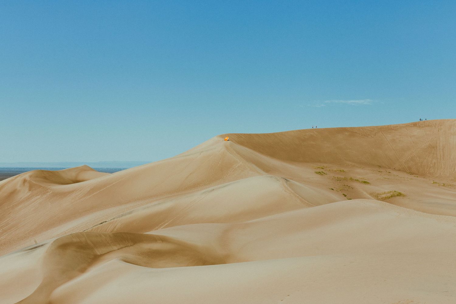 Golden sand dunes rise against clear blue sky in desert landscape.