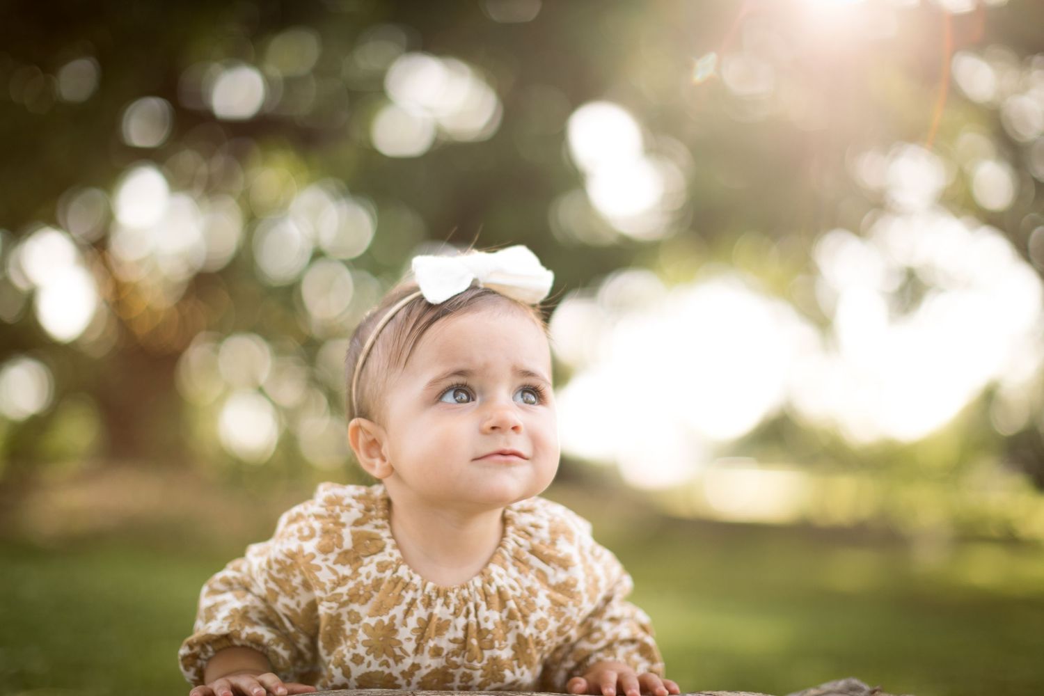 Toddler in floral outfit sitting outdoors during golden hour.