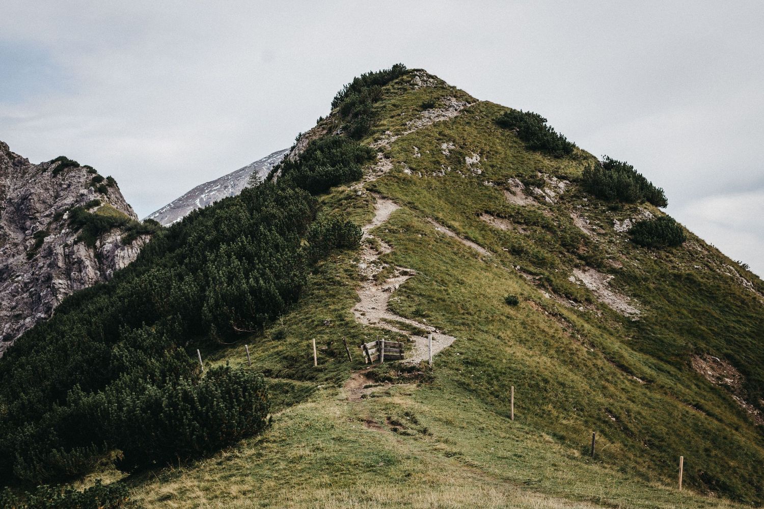Steep mountain trail winding along a grassy ridge with dramatic alpine peaks in background.