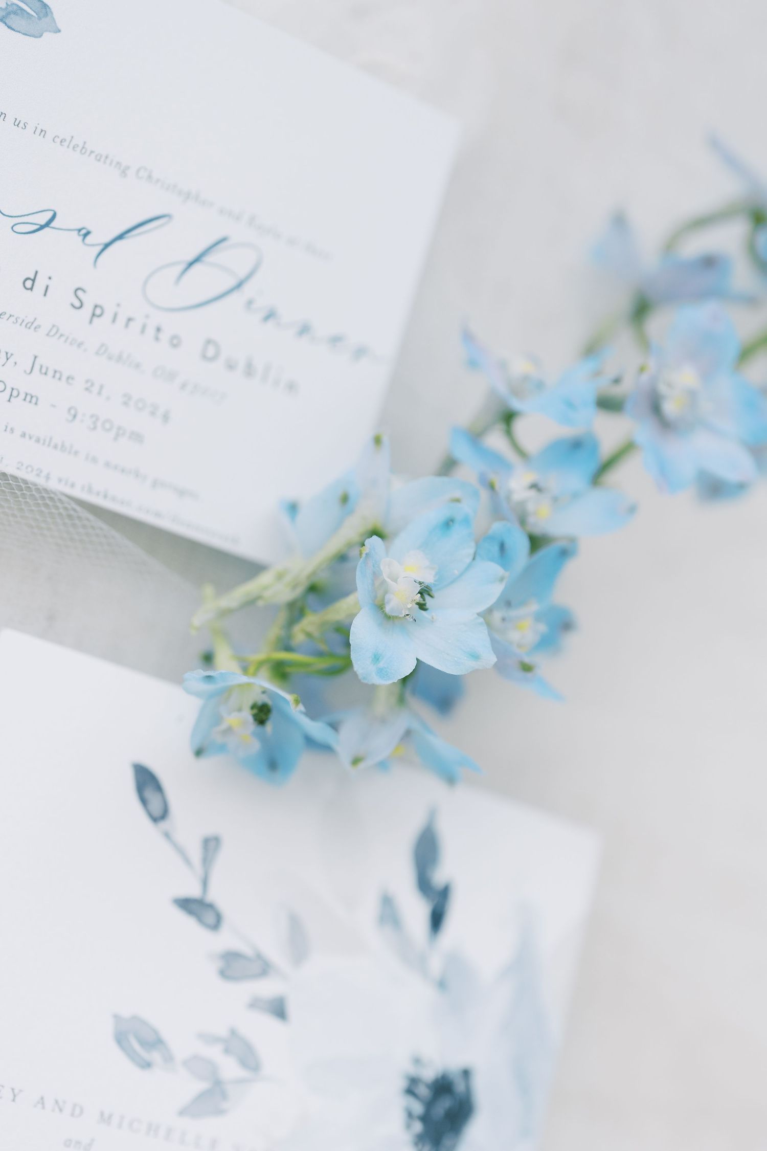 Delicate blue floral wedding stationery with eucalyptus leaves arranged on white background.