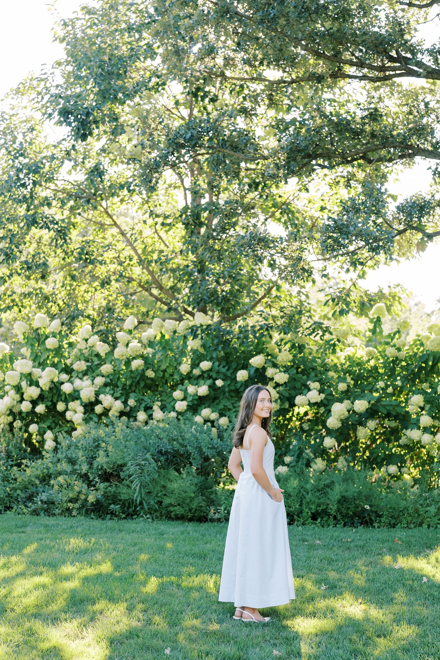 A person in a white dress stands in a lush garden with blooming white hydrangea bushes on a sunny summer day.