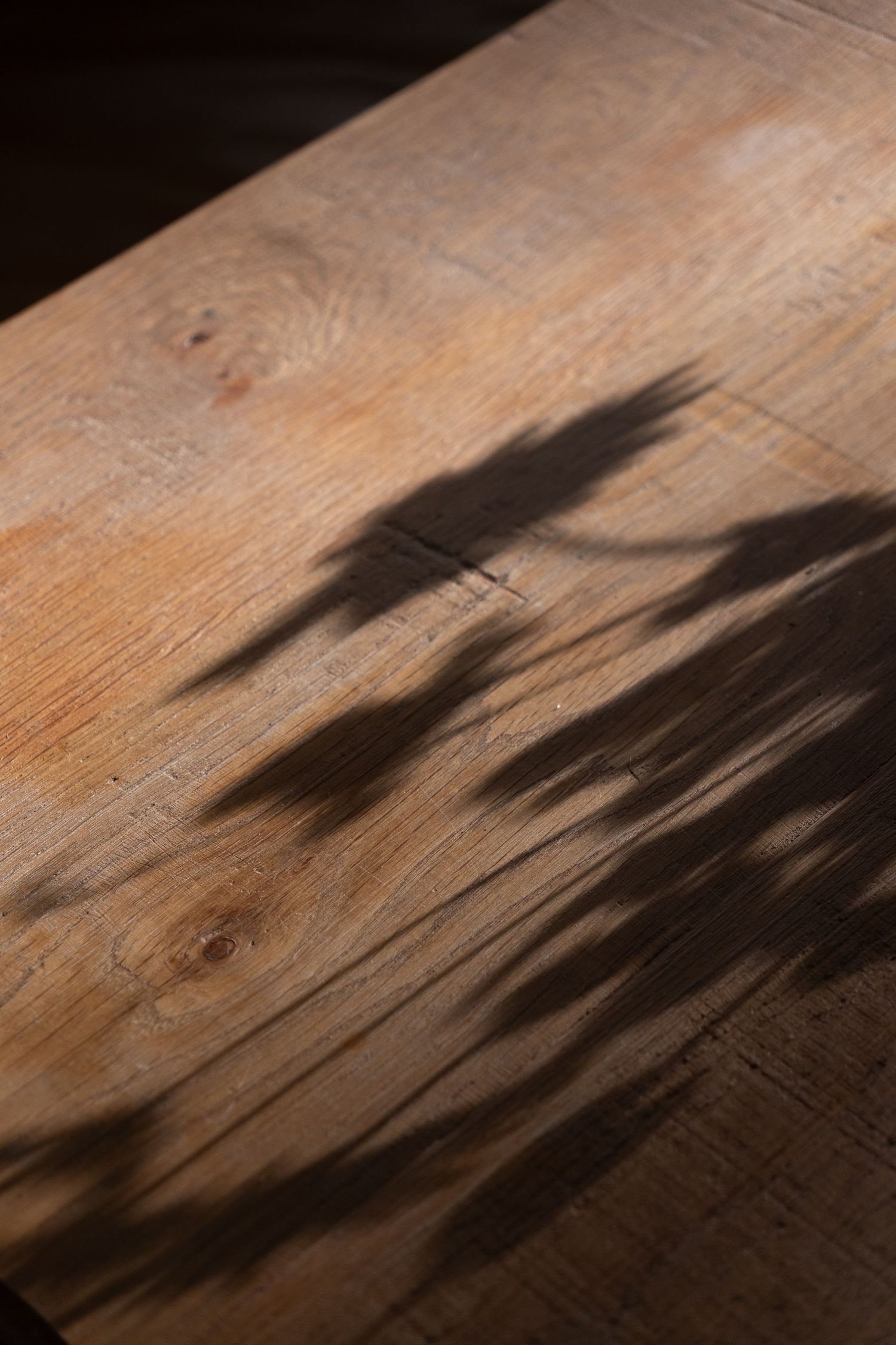 Close-up of warm sunlight casting dramatic flower shadows across a rustic wooden table surface.