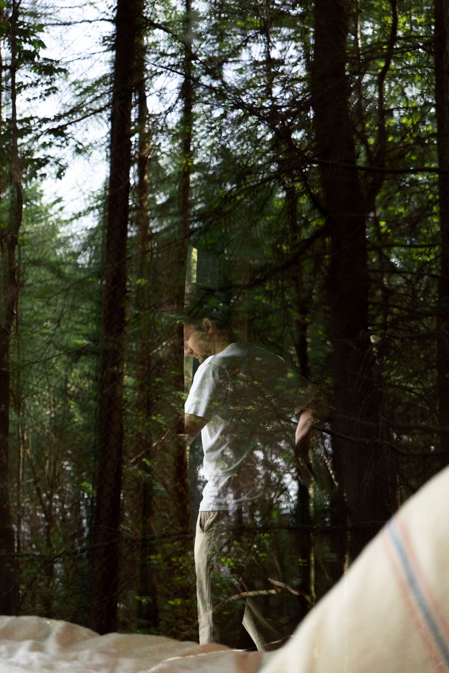 Man standing among tall forest trees photographed through a reflective glass window with soft natural light.