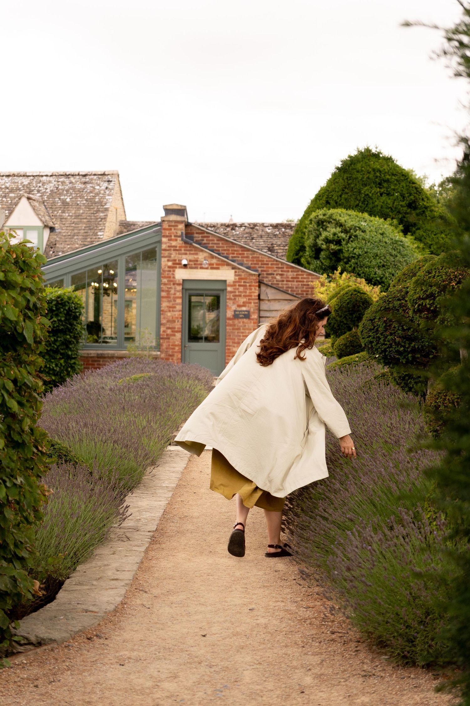 Woman in cream coat walking along a lavender-lined garden path toward a brick building with topiary hedges.
