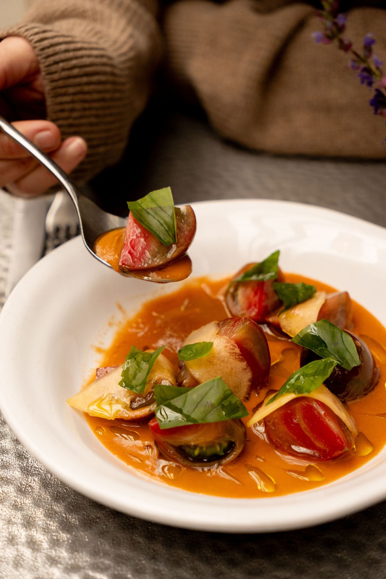 Close-up of pasta dish in tomato broth with cherry tomatoes, mushrooms, and fresh basil leaves on a white plate.