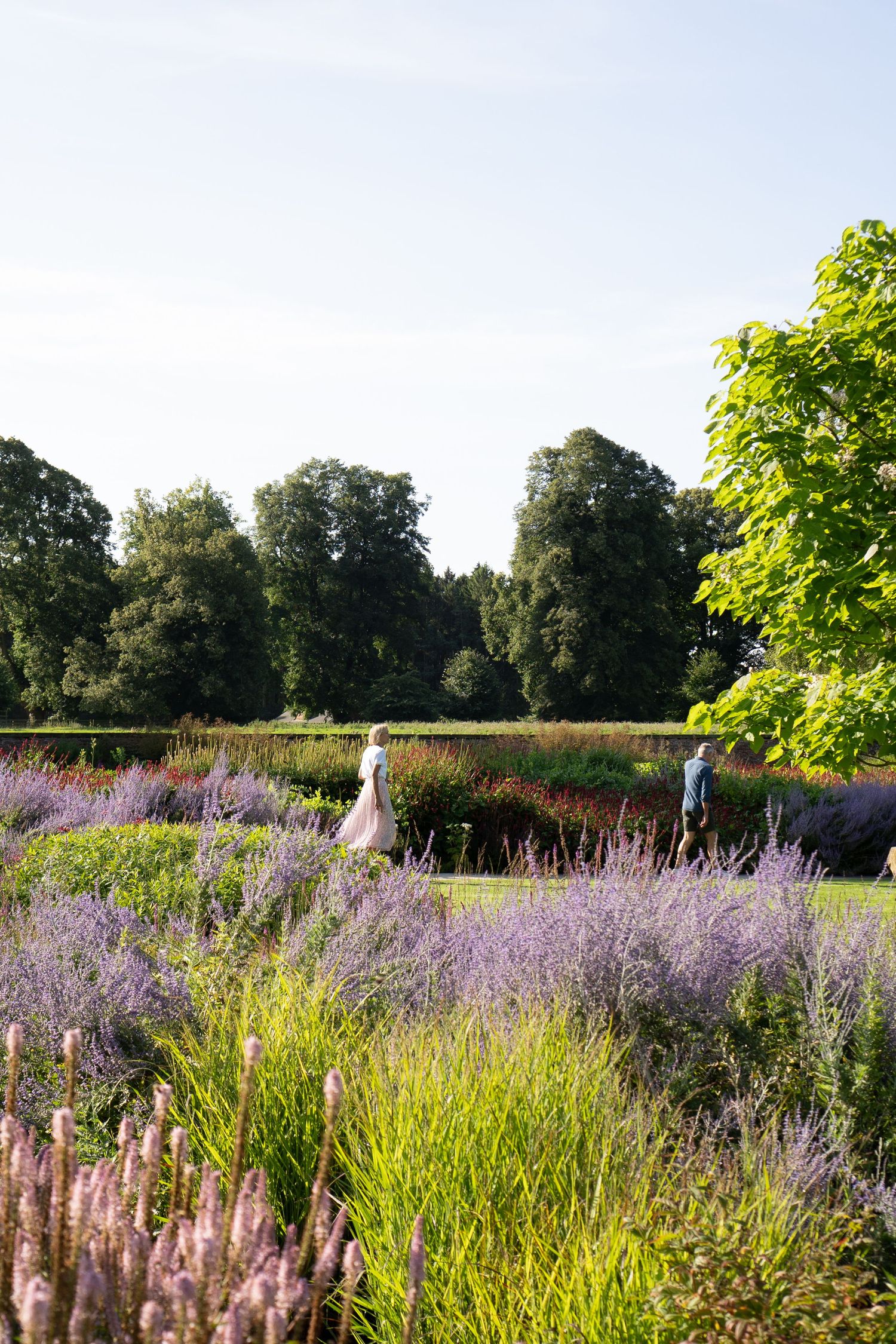 Couple walking through a lush formal garden with purple lavender and colorful perennials under a blue sky.