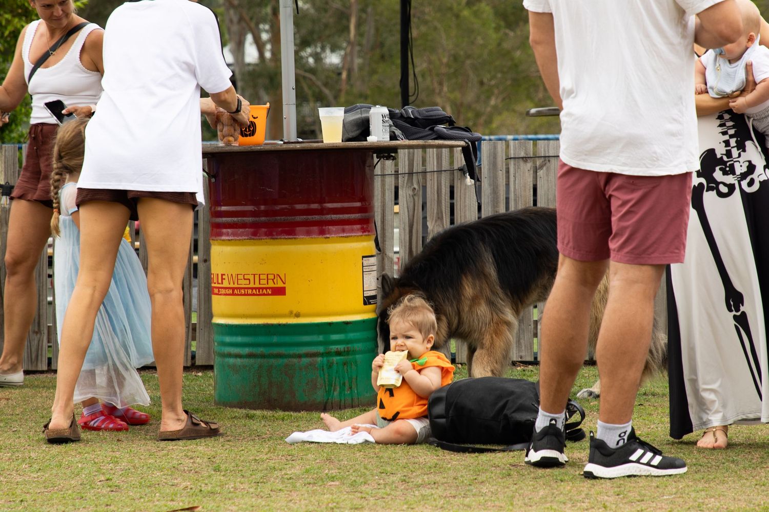 Baby sits on grass with German Shepherd dog at outdoor community festival event.