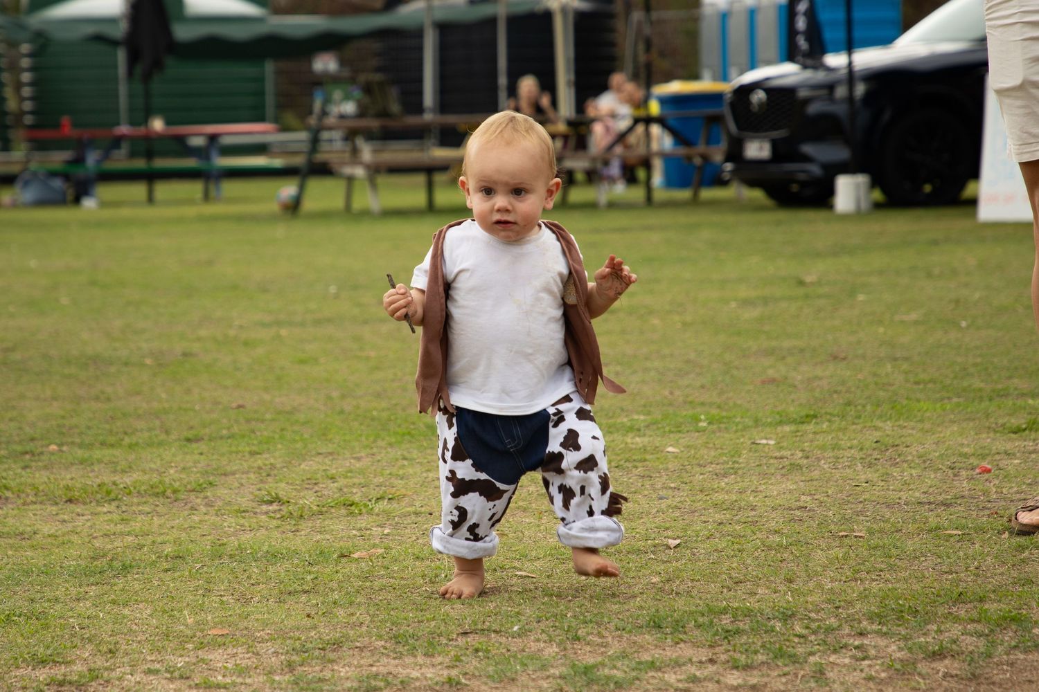 An adorable toddler in cow print pants and a brown vest walking on green grass at an outdoor event.