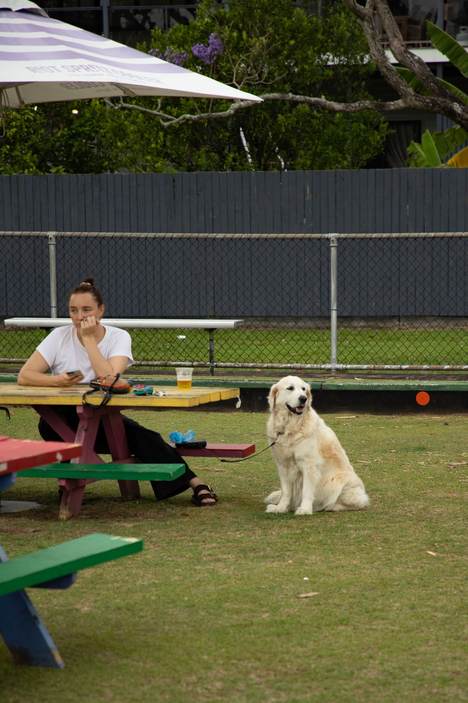Woman sits at colorful picnic table with golden retriever dog on leash at outdoor community park event.