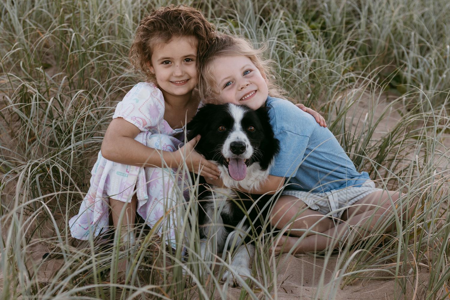 Two children sitting in tall grass with their border collie during a family photography session.